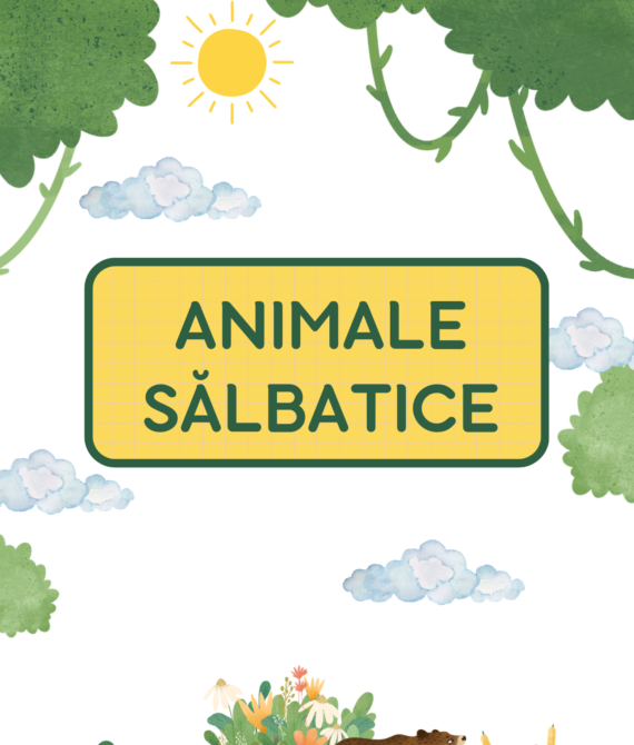 A5 Animale sălbatice